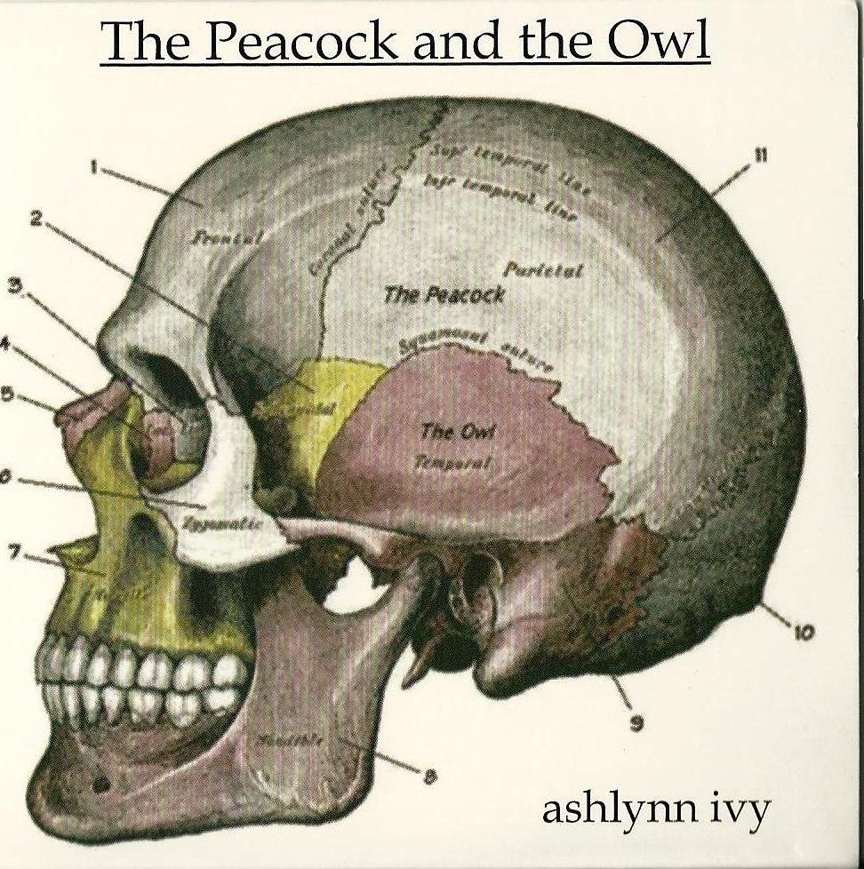 Ashlynn Ivy - The Peacock and the Owl